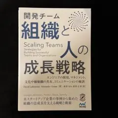 【美品】『開発チーム 組織と人の成長戦略』