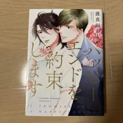 ハッピーエンドを約束します　波間田かもめ　商業BLコミック