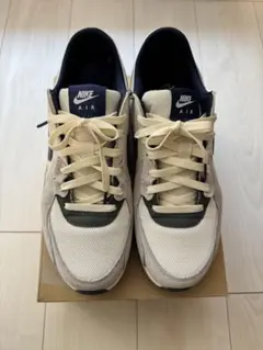 NIKE エアマックス エクシー 27.5cm FZ3593-133メンズナイキ
