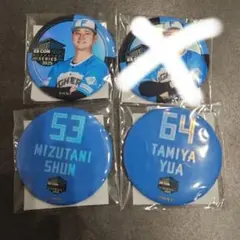 ファイターズ　推しクジ　カンバッヂ
