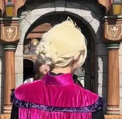 2025年最新】エルサ ウィッグ 戴冠式の人気アイテム - メルカリ