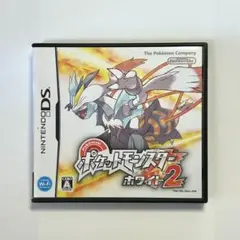 DS ポケットモンスター ホワイト2 ソフト