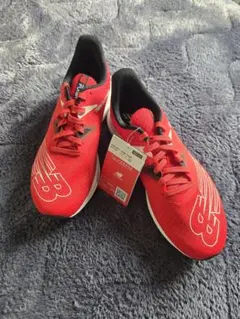 Item thumbnail for item 0f9dbee2-0b84-421c-a9fd-509a77c5256b