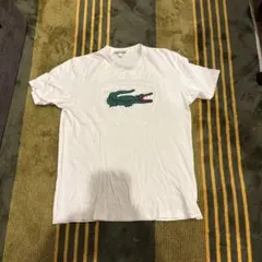 LACOSTE ラコステ Tシャツ ホワイト