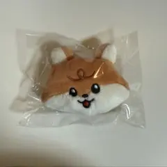 2025年最新】nct dream ロンジュン ぬいぐるみの人気アイテム - メルカリ