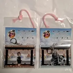 GiGO限定 刀剣乱舞 ONLINE ビッグアクリルキーホルダー 2点セット