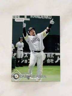 金子圭輔 2014 OL 福岡ソフトバンクホークス トレカ プロ野球 045
