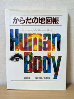 インサイドヒューマンボディ ヒューマンボディ デアゴスティーニ 第100