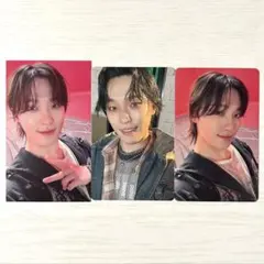 ディノ 店舗特典 トレカ