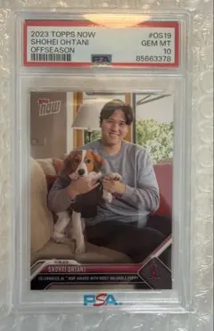 2026年最新】大谷翔平 デコピン psa10の人気アイテム - メルカリ