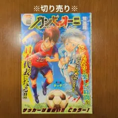 週刊少年ジャンプ 2000年18号 ホイッスル！連載100回 - メルカリ