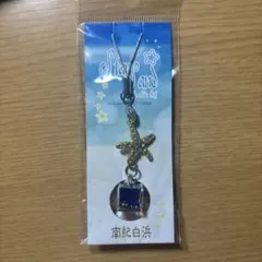 南紀白浜 星型チャーム キーホルダー