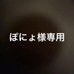 専用