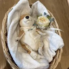 Item thumbnail for item d3938d55-e151-4caf-a0fb-7b19d29400bc