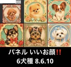 オーダーページ パネル ビックフェイス 6犬種 8.6.27 - メルカリ