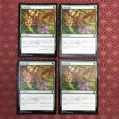 《自然の要求/Nature's Claim》[EMA]