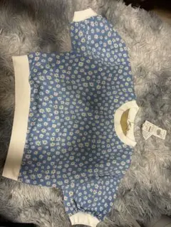 ems excite 花柄 半袖ニット ブルー