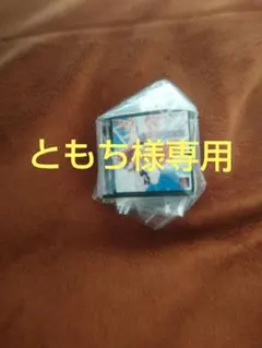 ともち様専用