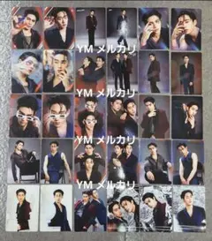 【 WilliamEst 】 FANCON ランダムトレカ コンプリート セット