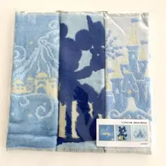 ディズニー タオル ミニタオル バケーションパッケージ 限定 ディズニーリゾート