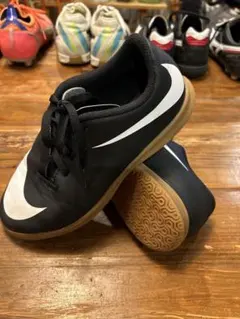 Item thumbnail for item 59b63804-5521-49fd-8094-ea3e25fddf6e