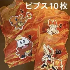 【新品・非売品】JFA公式 ポケモン 限定ビブス ヒトカゲ 他1〜10セット JFA ポケモンビブス サッカービブス 番号1-10 入れ物付き - メルカリ