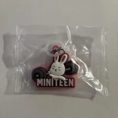 MINITEEN seventeen スンチョル
