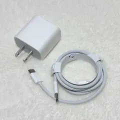 Apple純正 20W USB-C 電源アダプター 充電ケーブル iPad付属品