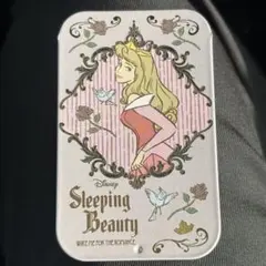 すらいどきゃん　ディズニープリンセス２　オーロラ姫