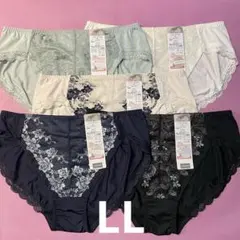 Item thumbnail for item af7c910d-6e26-46c7-9eeb-58962bbac3b6