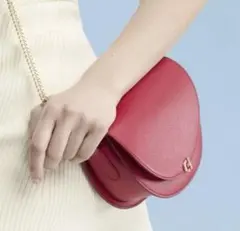 エビ－チェーンサドルバッグ cole haan