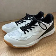 ✨着用2回✨TIGORA ティゴラ バレーボールシューズ 27.5cmのサムネイル