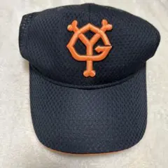 Item thumbnail for item 5166fd37-cda0-4c93-abf4-d765d6527aba