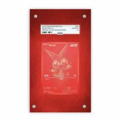 ビクティニ BWR 専用ディスプレイフレーム