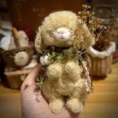 fluffy teddy＊仔うさぎ。