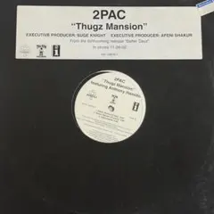 2Pac – Thugz Mansion