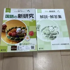 国語の新研究 解説・解答集