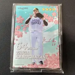 【非売品】福岡ソフトバンクホークス 上茶谷大河 アクリルスタンド
