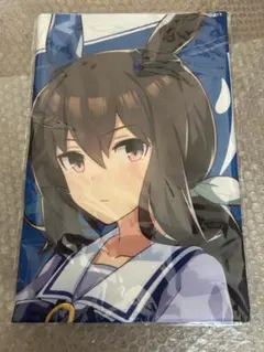 2025年最新】アドマイヤベガ タオルの人気アイテム - メルカリ