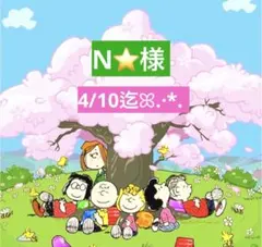 N⭐様 専用ページ