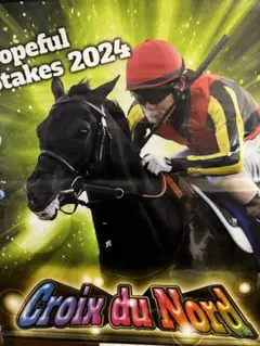 クロワデュノール　メイクデビュー〜日本ダービー 全５戦　現地購入記念馬券 クロワデュノール 2025日本ダービー応援単勝馬券【カラーコピー