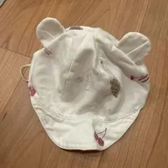 Item thumbnail for item 0899c513-8754-4029-b4da-3418bc7849d4