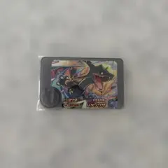 ポケモン フレンダ ワンダーピック 黒レックウザ