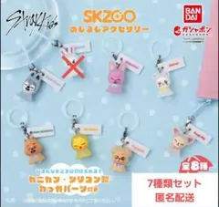 straykids skzoo めじるしアクセサリー セミコンプ7種 スキズ