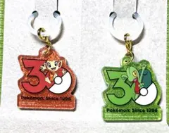 ポケチャーム　ロゴマスコット　ヒコザル　キモリ