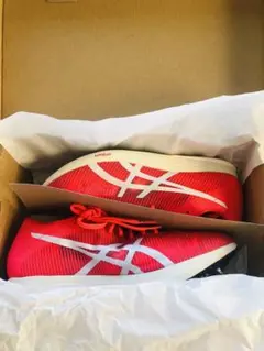 【美品】ASICS COSMORACER LD 3 (27.5cm)