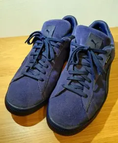 nanamica puma SUEDE VTG GTX 27cmのサムネイル