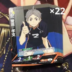 22枚 菅原孝支 ハイキュー バボカ 烏野高校 音駒高校 バボカbreak