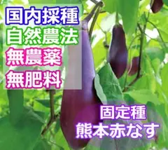 鳶様 リクエスト 2点 まとめ商品