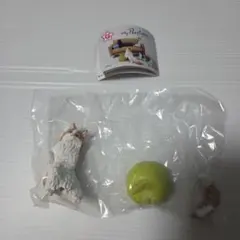 マイポジション　ノルウェージャンフォレストキャット